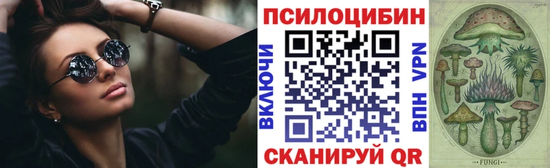 Псилоцибиновые грибы Cubensis купить наркоту ОМГ ОМГ ONION Заринск