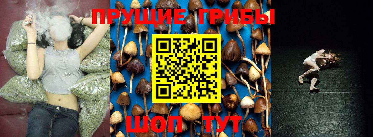 Галлюциногенные грибы Cubensis  Вход с VPN  Заринск 